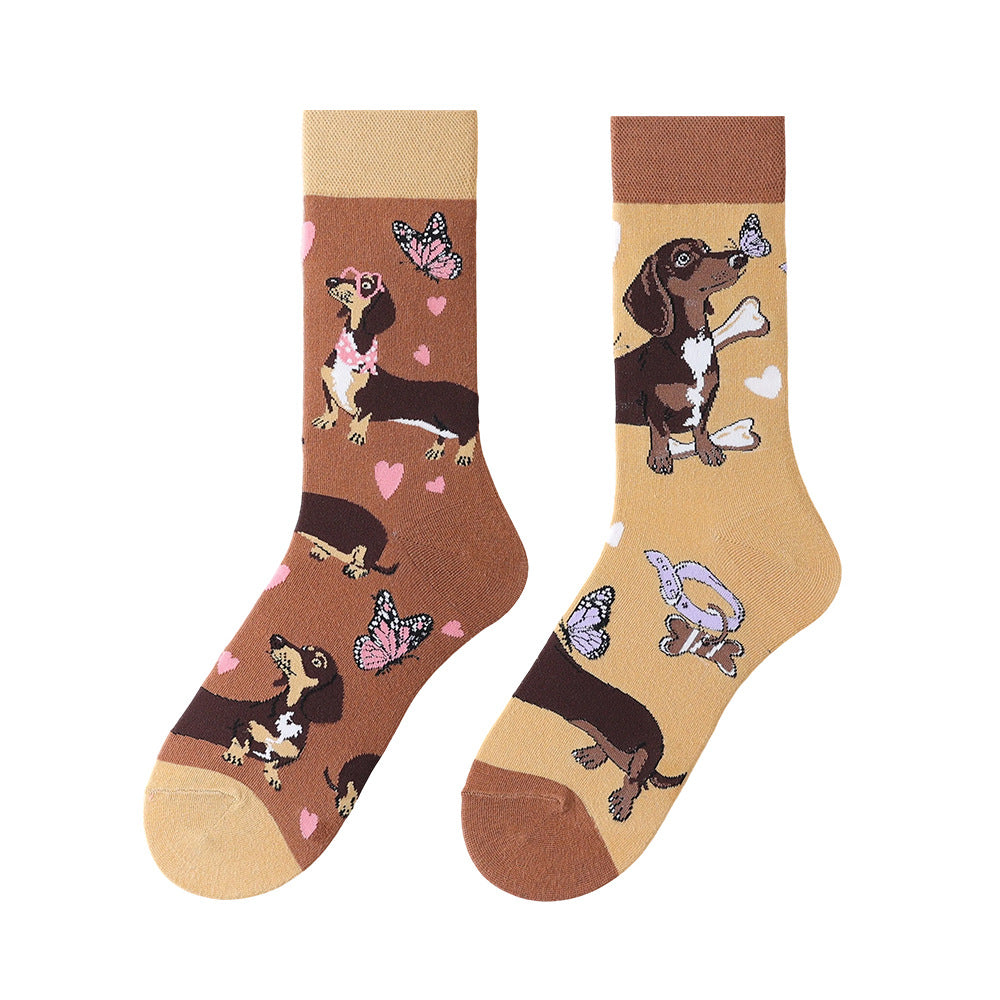 Dachshund