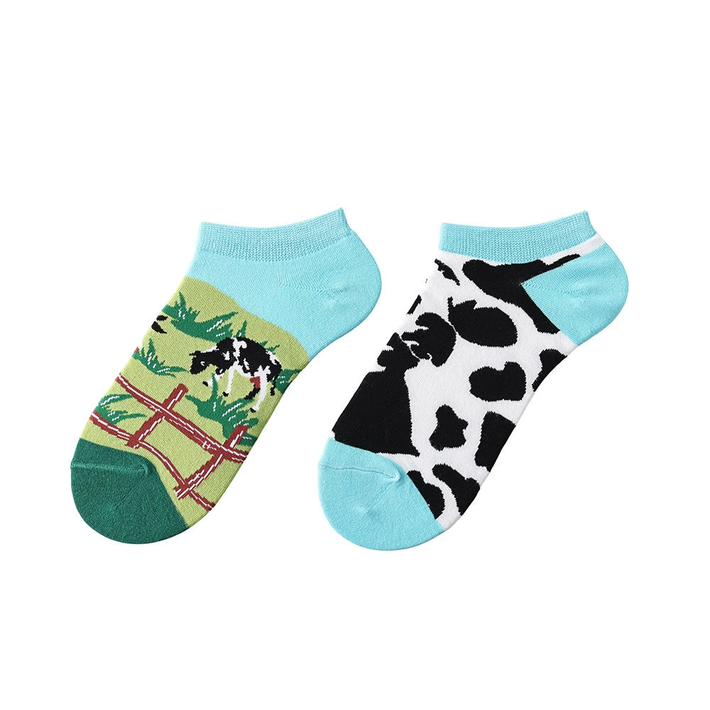 Farm and Cows